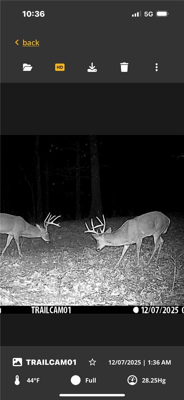 https://bt-photos.global.ssl.fastly.net/arkansas/orig_boomver_1_1332937-2.jpg