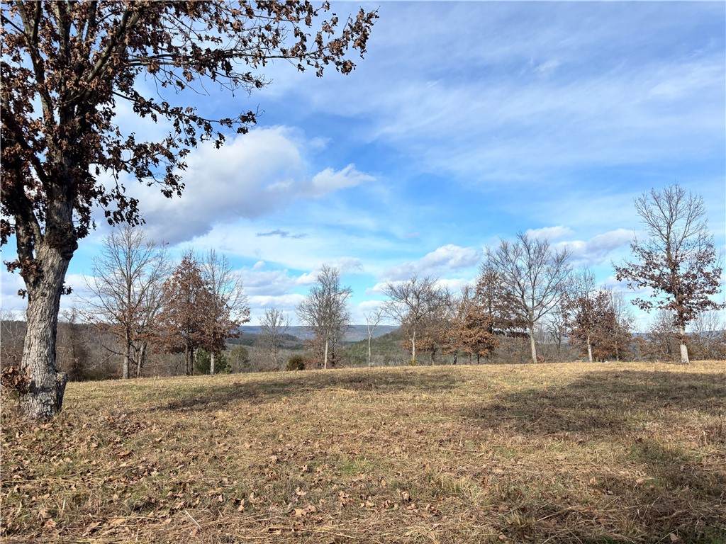 1687 County Road 3581 - Photo 1