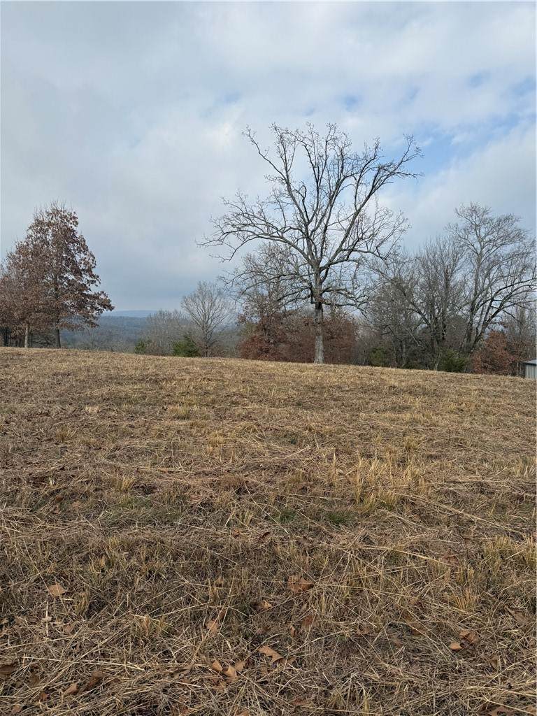 https://bt-photos.global.ssl.fastly.net/arkansas/orig_boomver_1_1333700-2.jpg