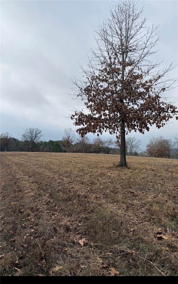 https://bt-photos.global.ssl.fastly.net/arkansas/orig_boomver_1_1333700-2.jpg