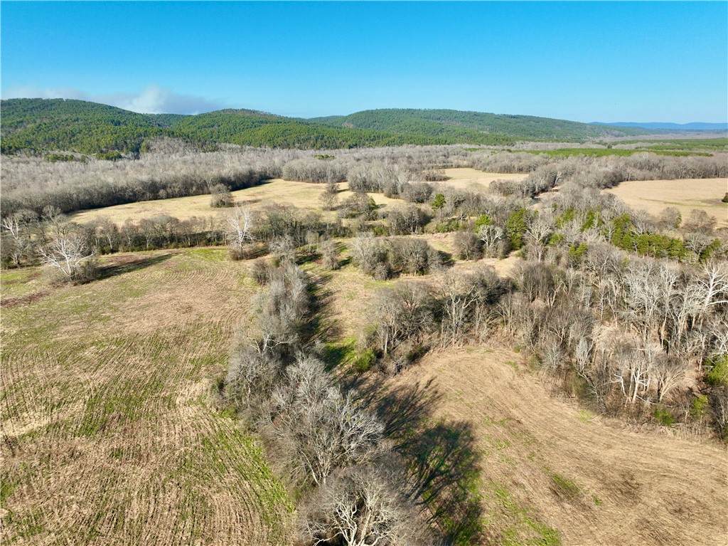 TBD Fourche River Road - Photo 1