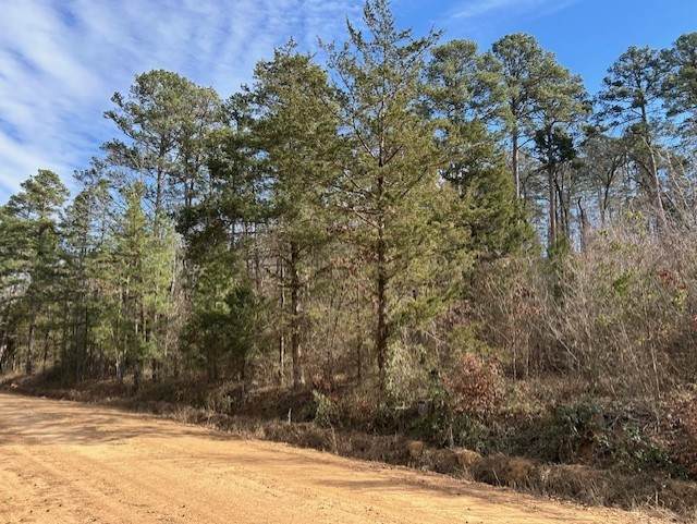  Moss Creek Road - Photo 1