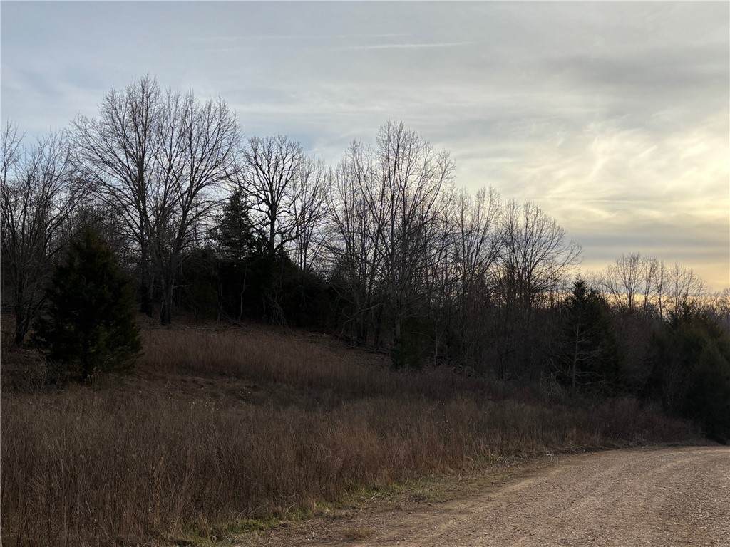 Tract D Eubanks Drive - Photo 1