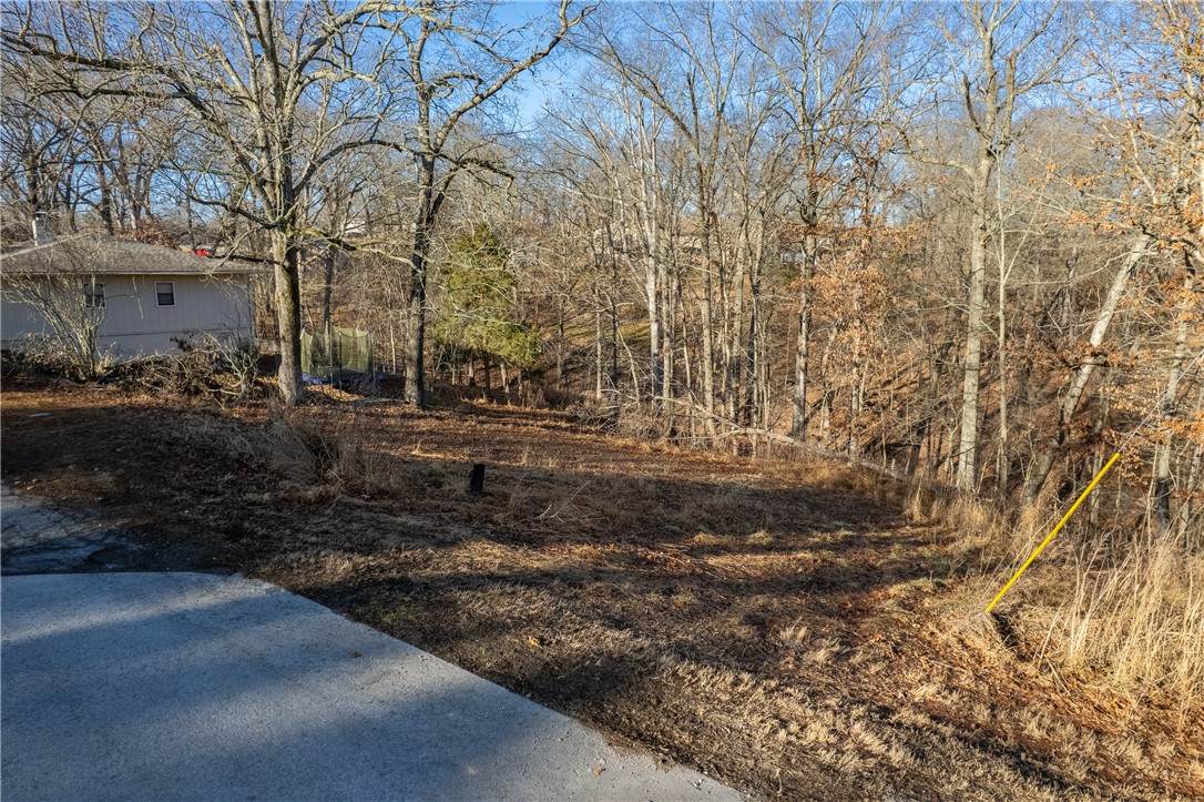 https://bt-photos.global.ssl.fastly.net/arkansas/orig_boomver_1_1335371-2.jpg