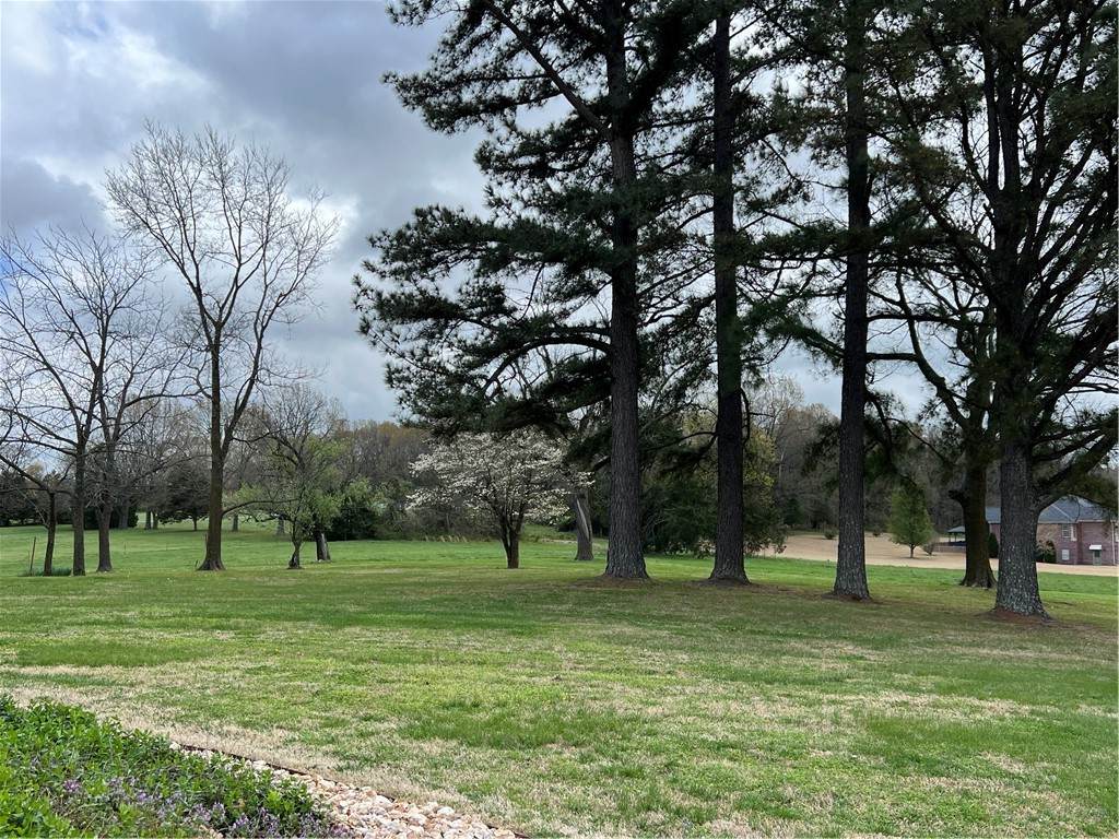 3113 Savannah Drive - Photo 1