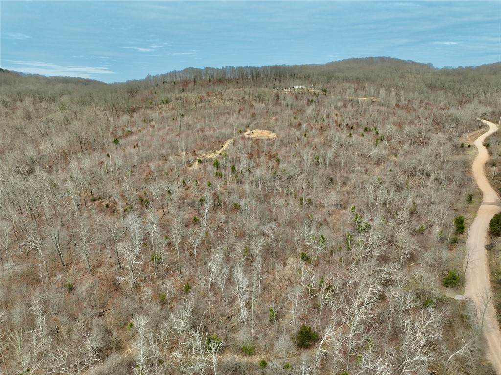 https://bt-photos.global.ssl.fastly.net/arkansas/orig_boomver_1_1339848-2.jpg