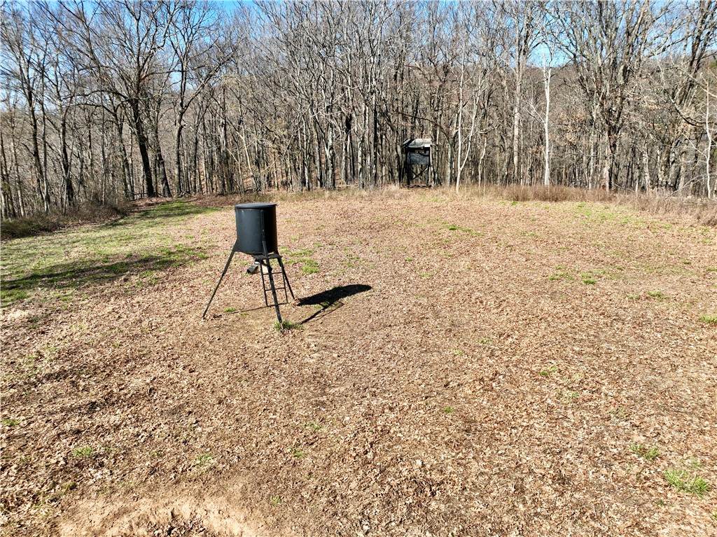 https://bt-photos.global.ssl.fastly.net/arkansas/orig_boomver_1_1340320-2.jpg