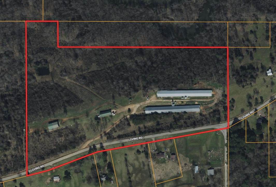 16196 Hontubby Road - Photo 1