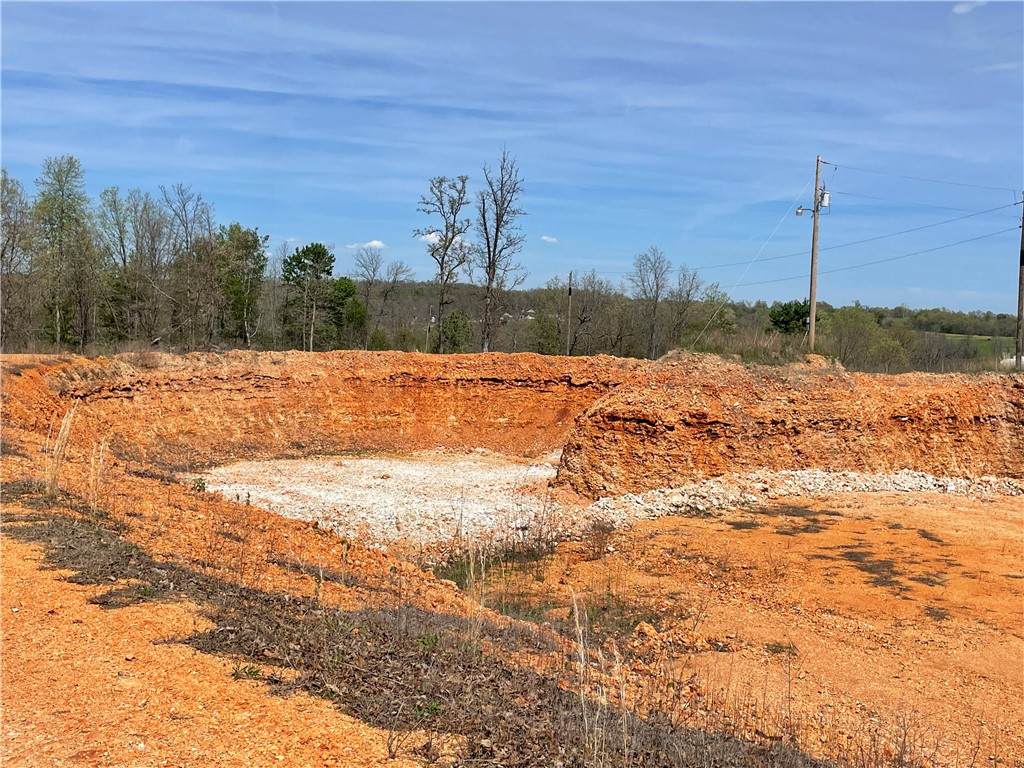 16638 Logan Cave Road - Photo 1