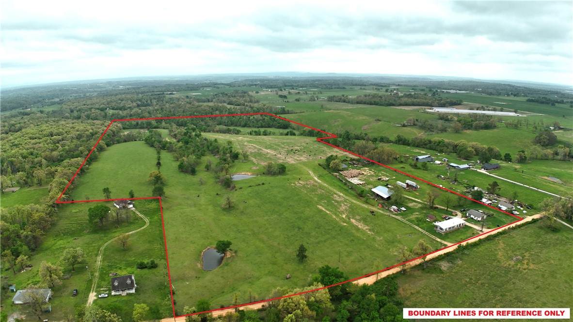 13161 Reams Road - Photo 1