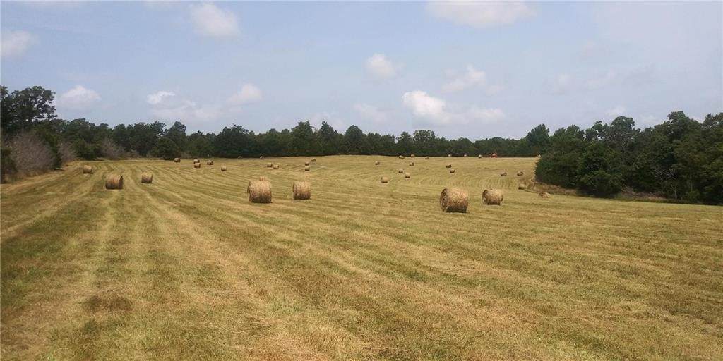 https://bt-photos.global.ssl.fastly.net/arkansas/orig_boomver_1_1343173-2.jpg
