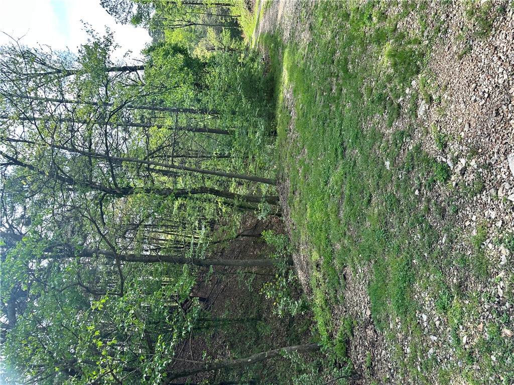 https://bt-photos.global.ssl.fastly.net/arkansas/orig_boomver_1_1343261-2.jpg