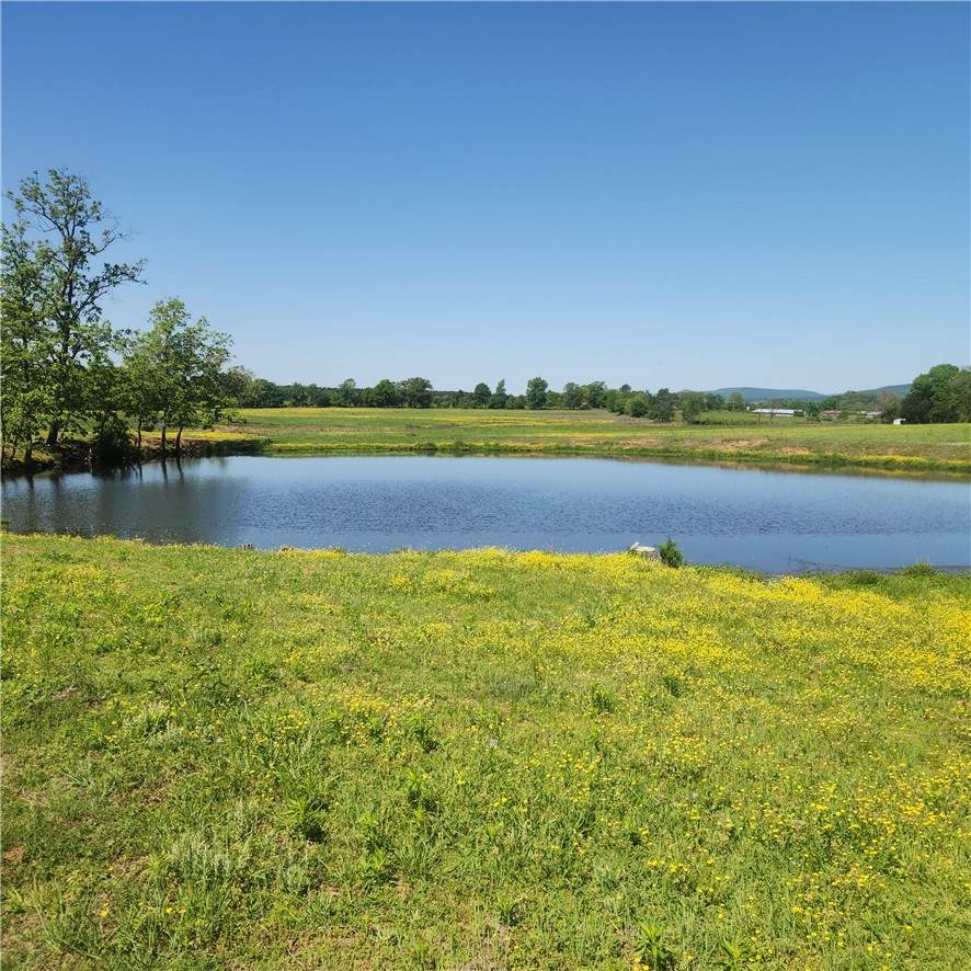 933 Walnut Road - Photo 1