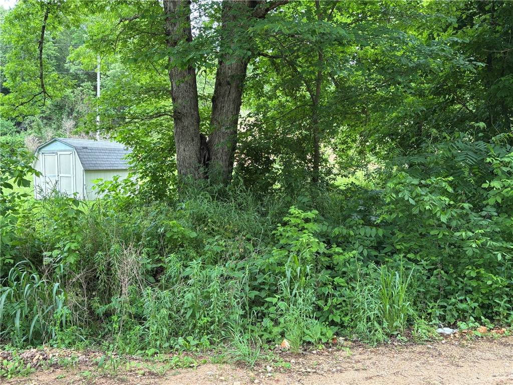 https://bt-photos.global.ssl.fastly.net/arkansas/orig_boomver_1_1349081-2.jpg