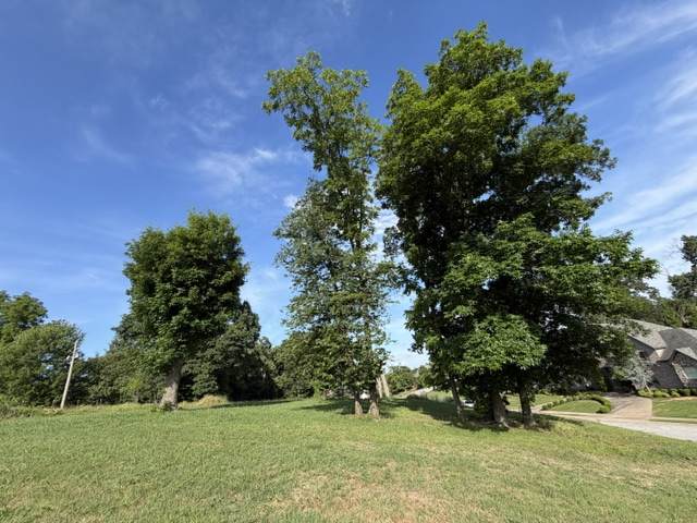 514 Chattin Circle - Photo 1