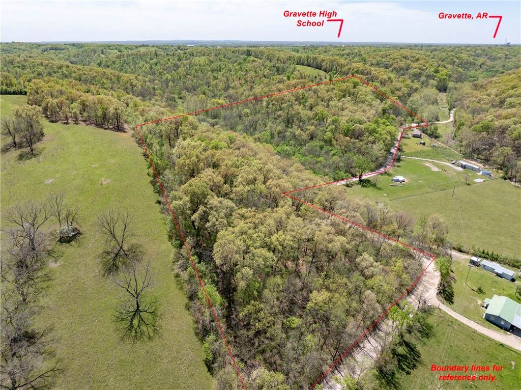 22.40AC Rocky Dell Hollow Road - Photo 1