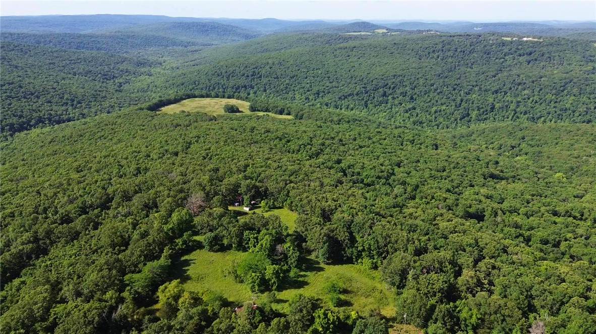 120 Acres Zinnamon Church Road - Photo 1