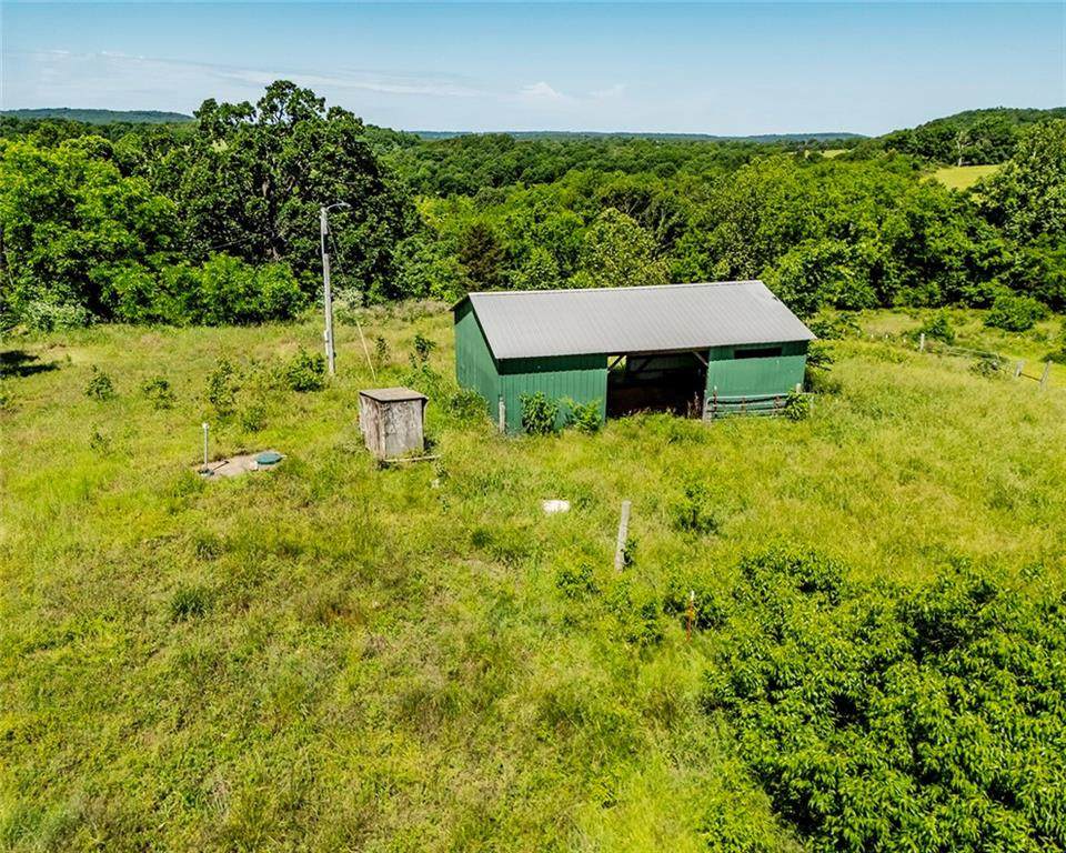 12930 Baker Mountain - Photo 1