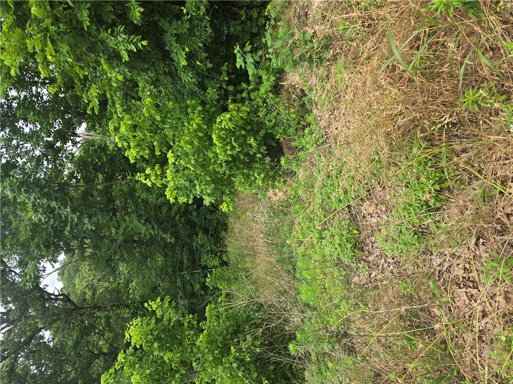TBD Enfield Drive - Photo 1