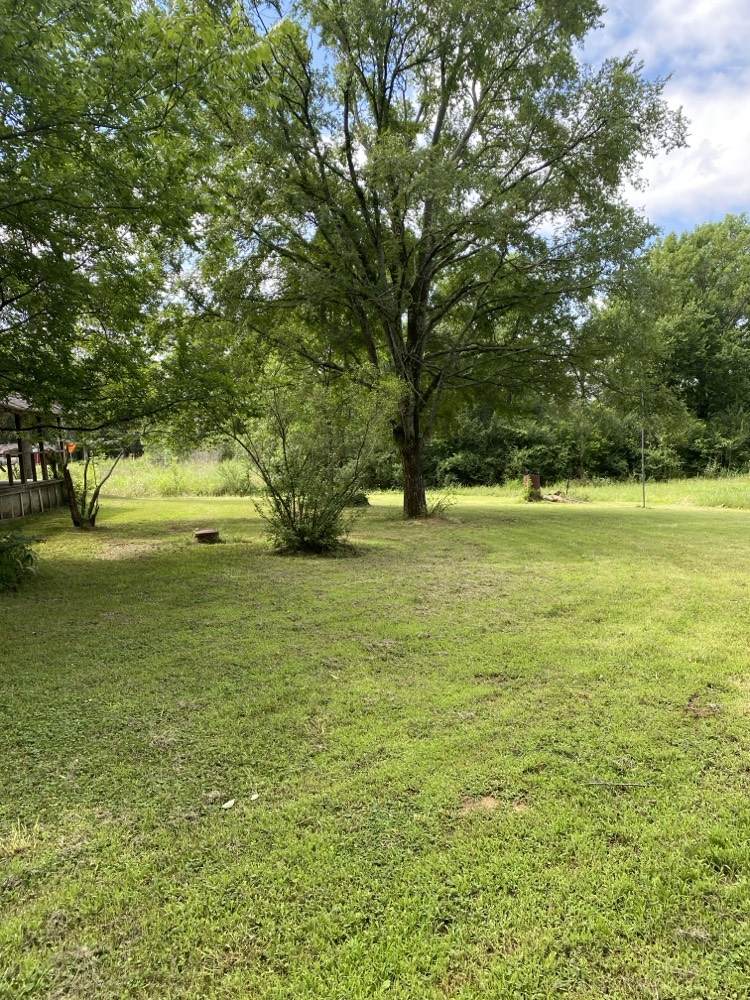 https://bt-photos.global.ssl.fastly.net/arkansas/orig_boomver_1_1352486-2.jpg