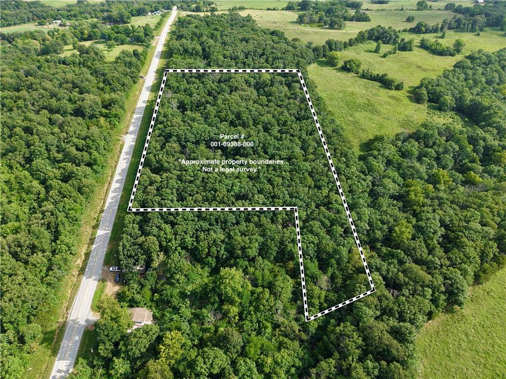 TBD 295 Highway - Photo 1