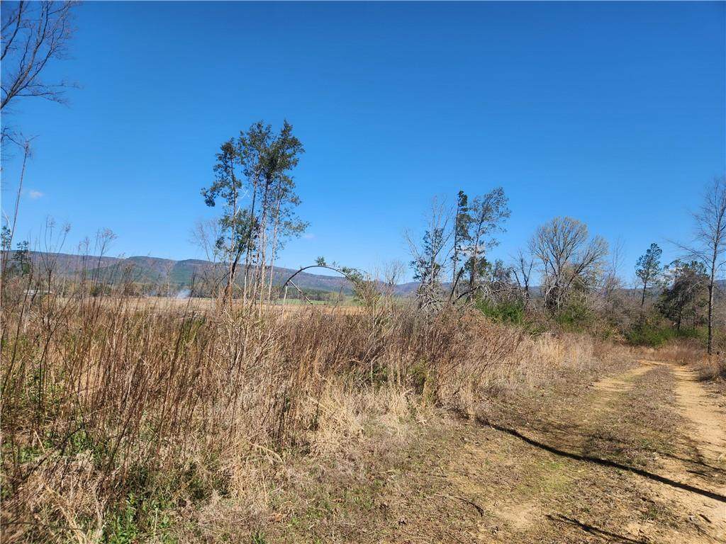  State Hwy 164 - Photo 1