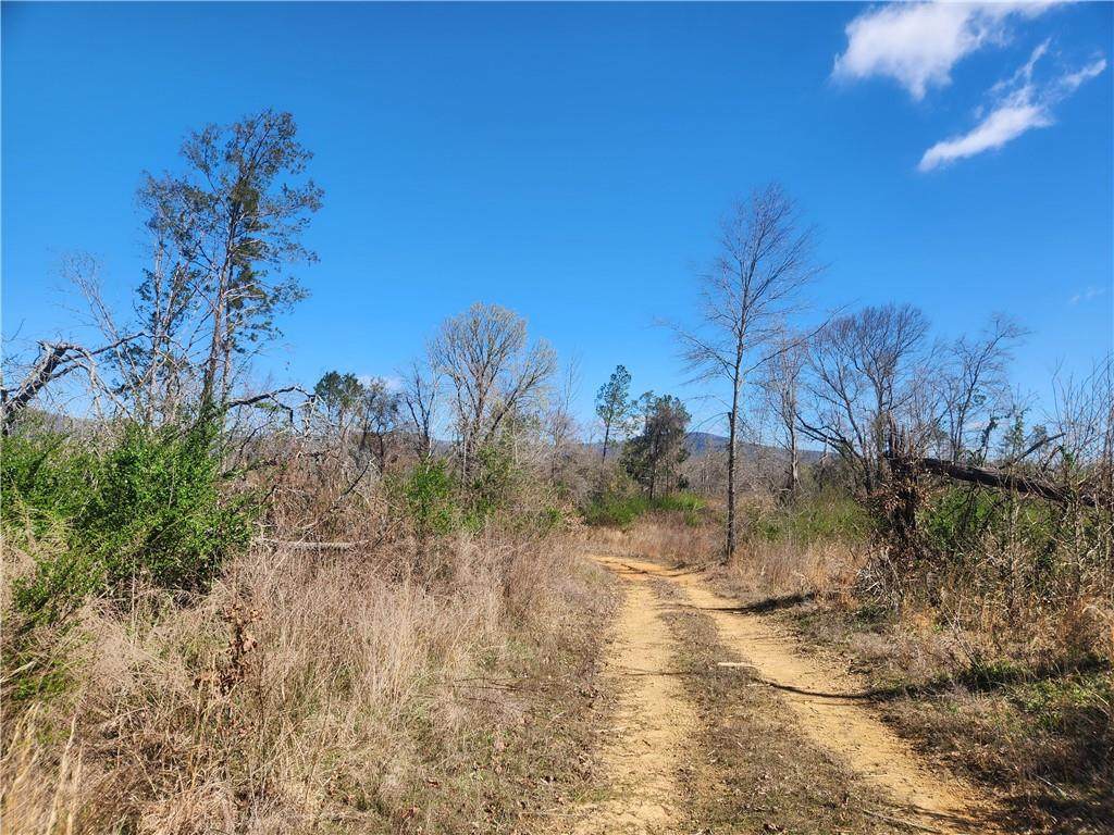 https://bt-photos.global.ssl.fastly.net/arkansas/orig_boomver_1_1354237-2.jpg