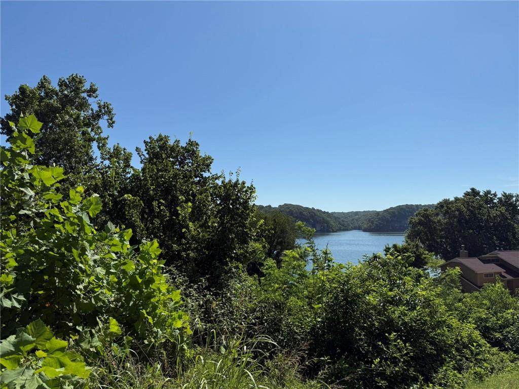 https://bt-photos.global.ssl.fastly.net/arkansas/orig_boomver_1_1354422-2.jpg