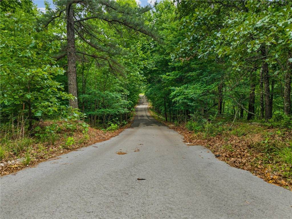 16740 Bethlehem Road - Photo 1
