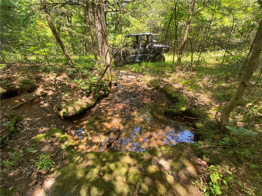 https://bt-photos.global.ssl.fastly.net/arkansas/orig_boomver_1_1354535-2.jpg