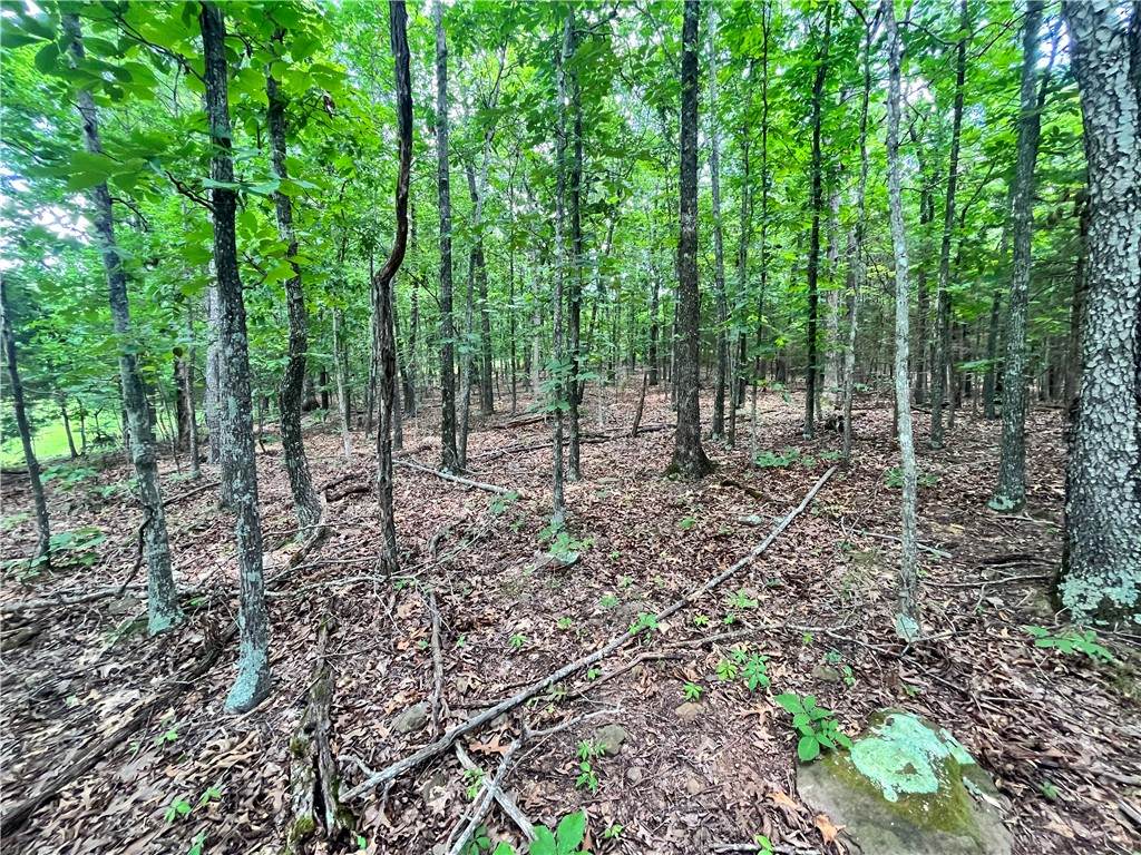 https://bt-photos.global.ssl.fastly.net/arkansas/orig_boomver_1_1354547-2.jpg