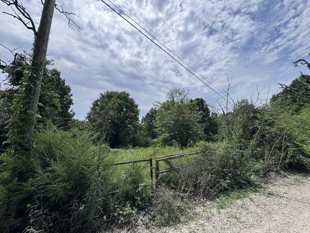 https://bt-photos.global.ssl.fastly.net/arkansas/orig_boomver_1_1354682-2.jpg