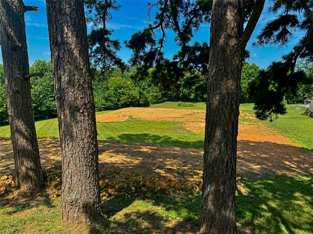 https://bt-photos.global.ssl.fastly.net/arkansas/orig_boomver_1_1354706-2.jpg