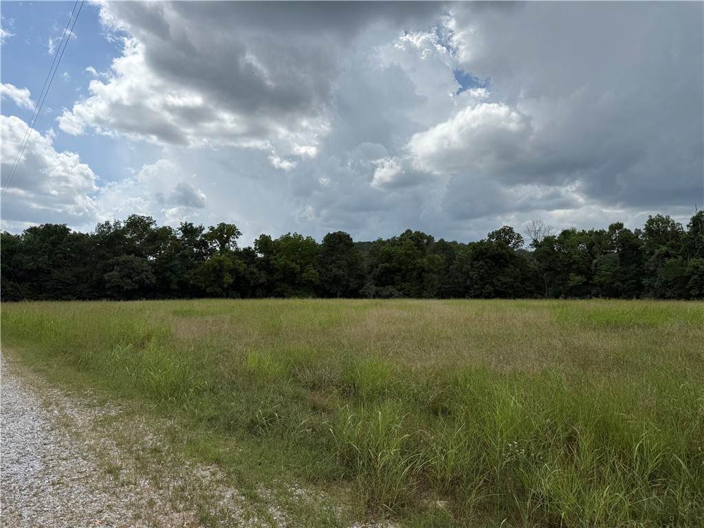 708 Bowen Boulevard - Photo 1