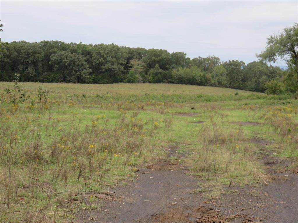 https://bt-photos.global.ssl.fastly.net/arkansas/orig_boomver_1_1354843-2.jpg