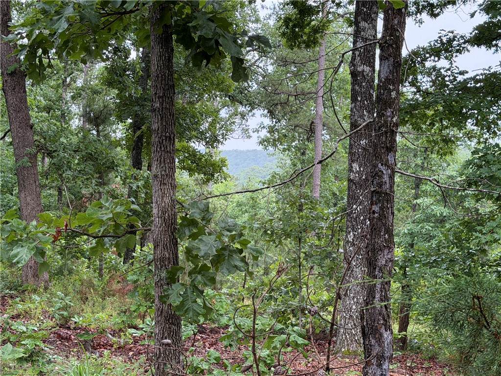 https://bt-photos.global.ssl.fastly.net/arkansas/orig_boomver_1_1354915-2.jpg