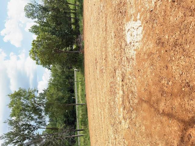 1265 Sequoyah Way - Photo 1