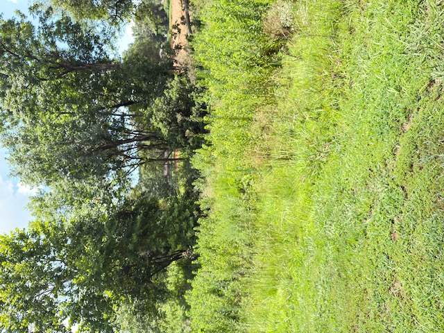  Sequoyah Way - Photo 1