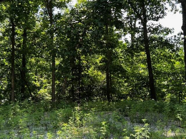 Lot 6 Southborough Lane - Photo 1