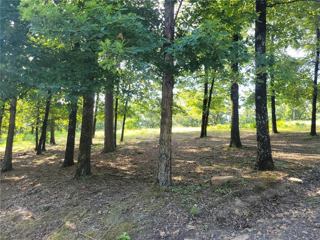 https://bt-photos.global.ssl.fastly.net/arkansas/orig_boomver_1_1355186-2.jpg