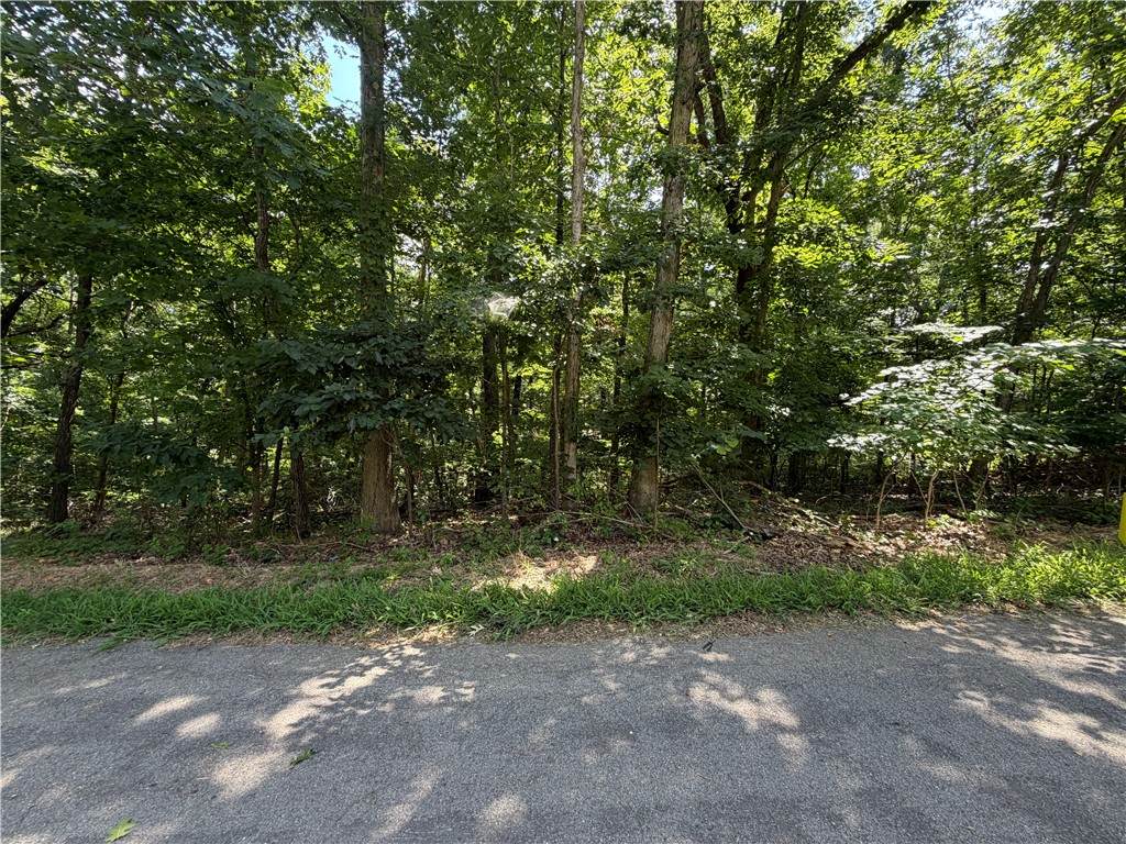  Ventnor Drive - Photo 1