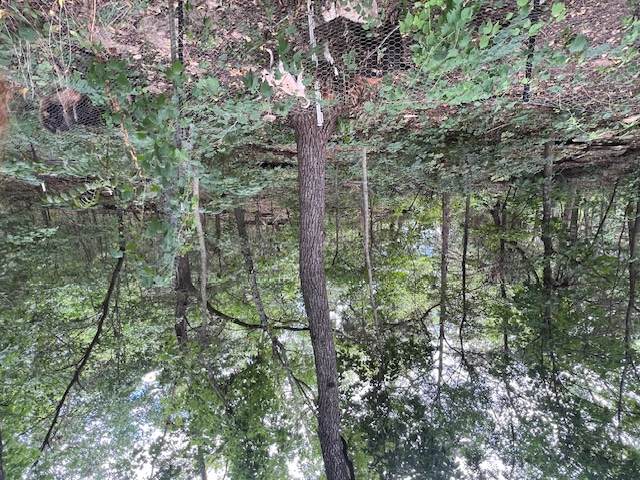 https://bt-photos.global.ssl.fastly.net/arkansas/orig_boomver_1_1355324-2.jpg