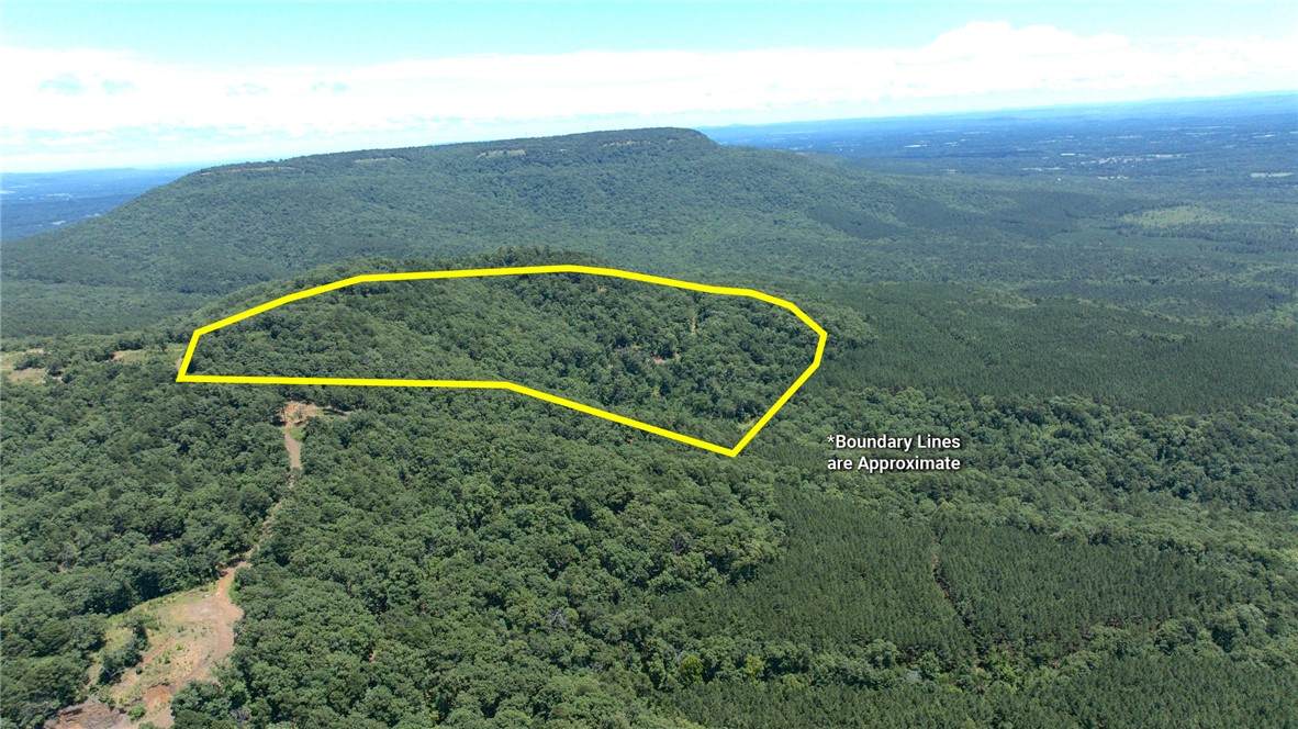  Tater Mountain East - Photo 1