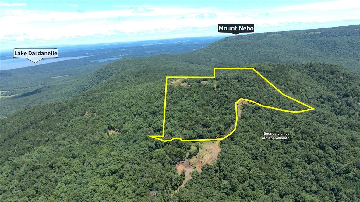  Tater Mountain North - Photo 1