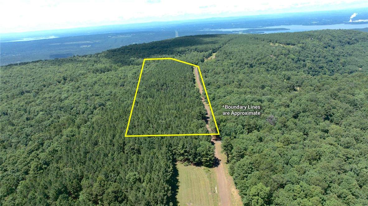  Spring Mountain Airstrip - Photo 1