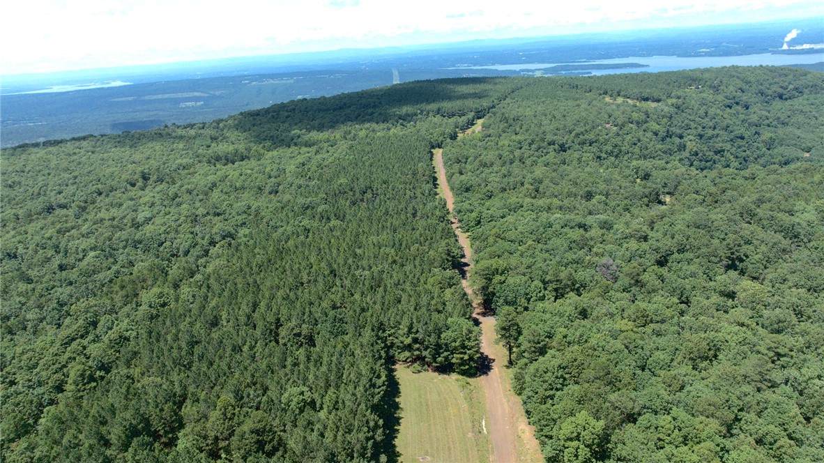 https://bt-photos.global.ssl.fastly.net/arkansas/orig_boomver_1_1355495-2.jpg