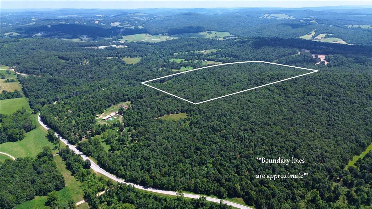 78 Acres Hwy 21 - Photo 1