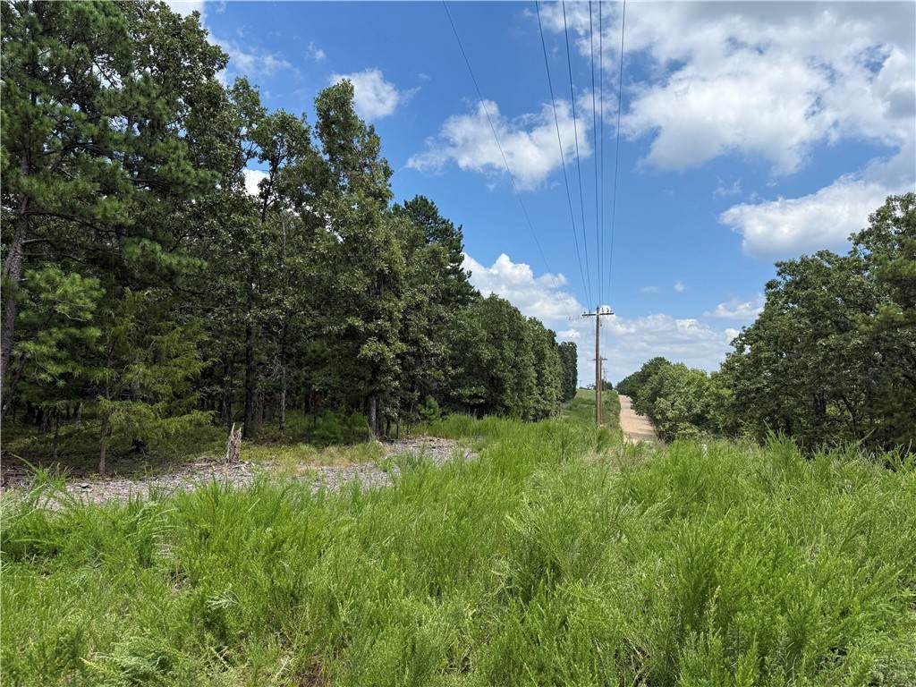 https://bt-photos.global.ssl.fastly.net/arkansas/orig_boomver_1_1355576-2.jpg