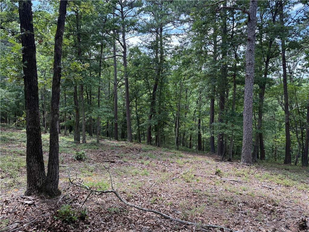 https://bt-photos.global.ssl.fastly.net/arkansas/orig_boomver_1_1355576-2.jpg