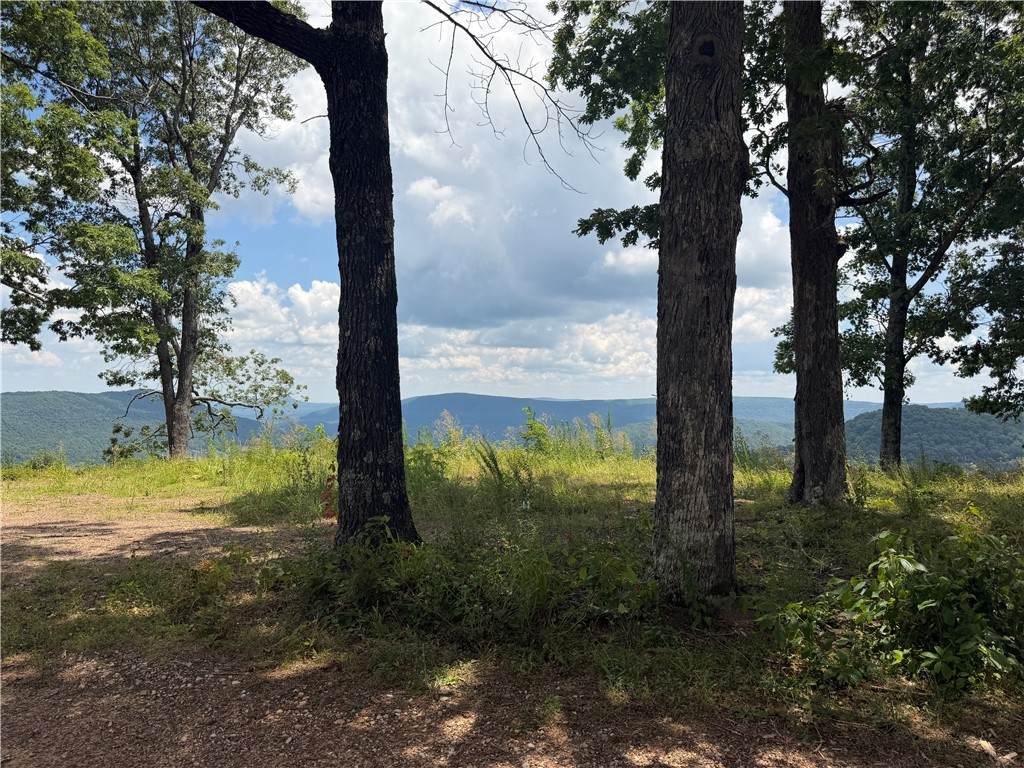 https://bt-photos.global.ssl.fastly.net/arkansas/orig_boomver_1_1355594-2.jpg